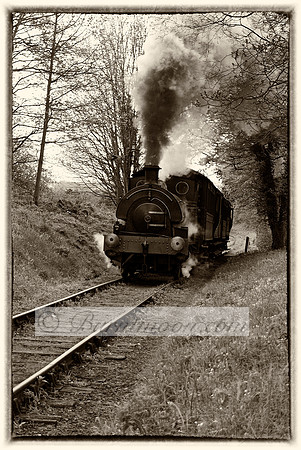 A sepia-toned photograph of a vintage steam locomotive traveling down a railway track, surrounded by trees and emitting thick smoke, evoking a nostalgic and historical feel.