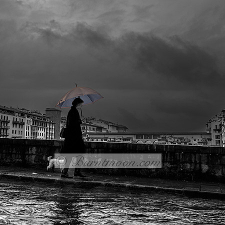 A black and white photograph of a person walking along a wet city street with a small dog, holding a colorful umbrella against a backdrop of stormy clouds and historic buildings.