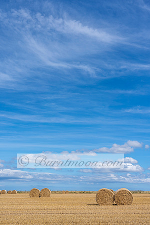 A vast prairie landscape with rows of round hay bales in the foreground and a large blue sky with wispy clouds above.