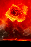 A fiery red rose appears suspended in swirling flames and glowing red-orange light, creating a dramatic and intense abstract image that suggests heat, passion, and transformation.