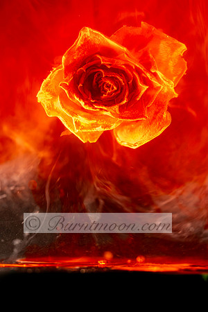 A fiery red rose appears suspended in swirling flames and glowing red-orange light, creating a dramatic and intense abstract image that suggests heat, passion, and transformation.