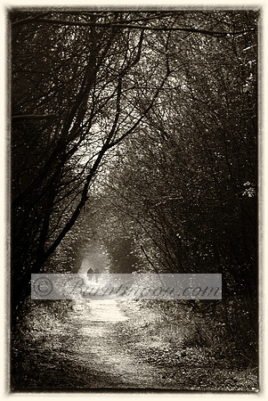 Black and white photograph of a tree-lined path with two distant figures walking towards a bright opening in the distance.