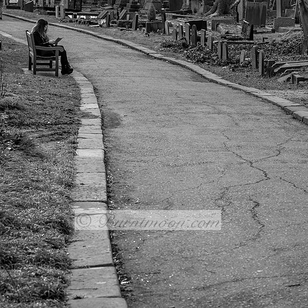 A woman sits alone on a bench in an old cemetery, looking at her phone. The cracked path leads through weathered gravestones, creating a solemn and contemplative atmosphere in black and white.